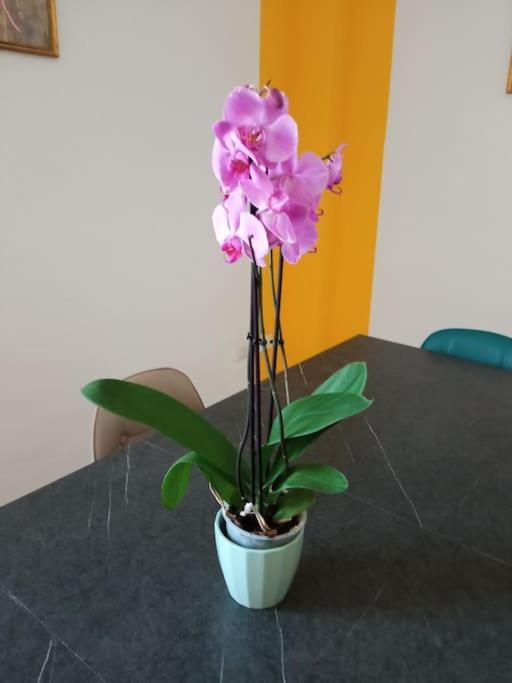 Bed and Breakfast A Casa Di Gi Porto Torres Exterior foto