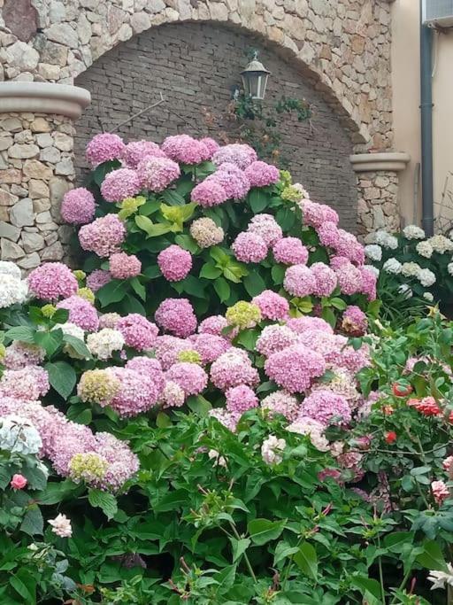 Bed and Breakfast A Casa Di Gi Porto Torres Exterior foto